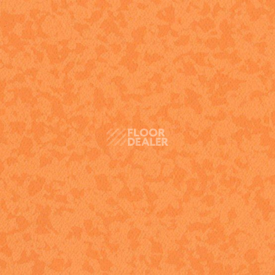 Линолеум Taralay Premium Osmoz 0702 Kumquat фото 1 | FLOORDEALER